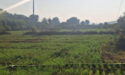 WhatsApp-Image-2025-12-05-at-7.29.23-PM