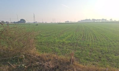 WhatsApp-Image-2025-12-20-at-6.41.26-PM