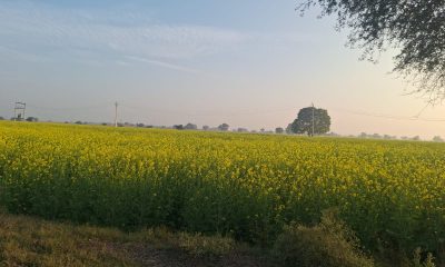 WhatsApp-Image-2025-12-20-at-6.41.27-PM